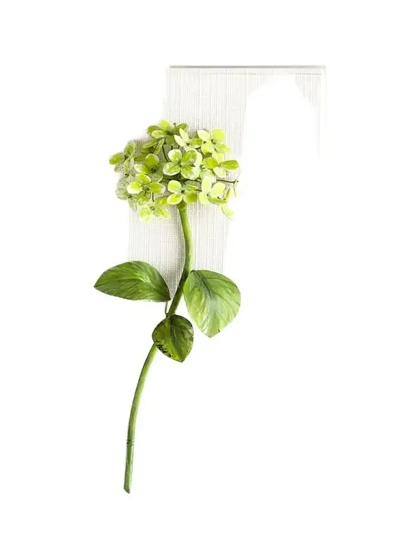 Tommy Mitchell Original Painted Hydrangea Study