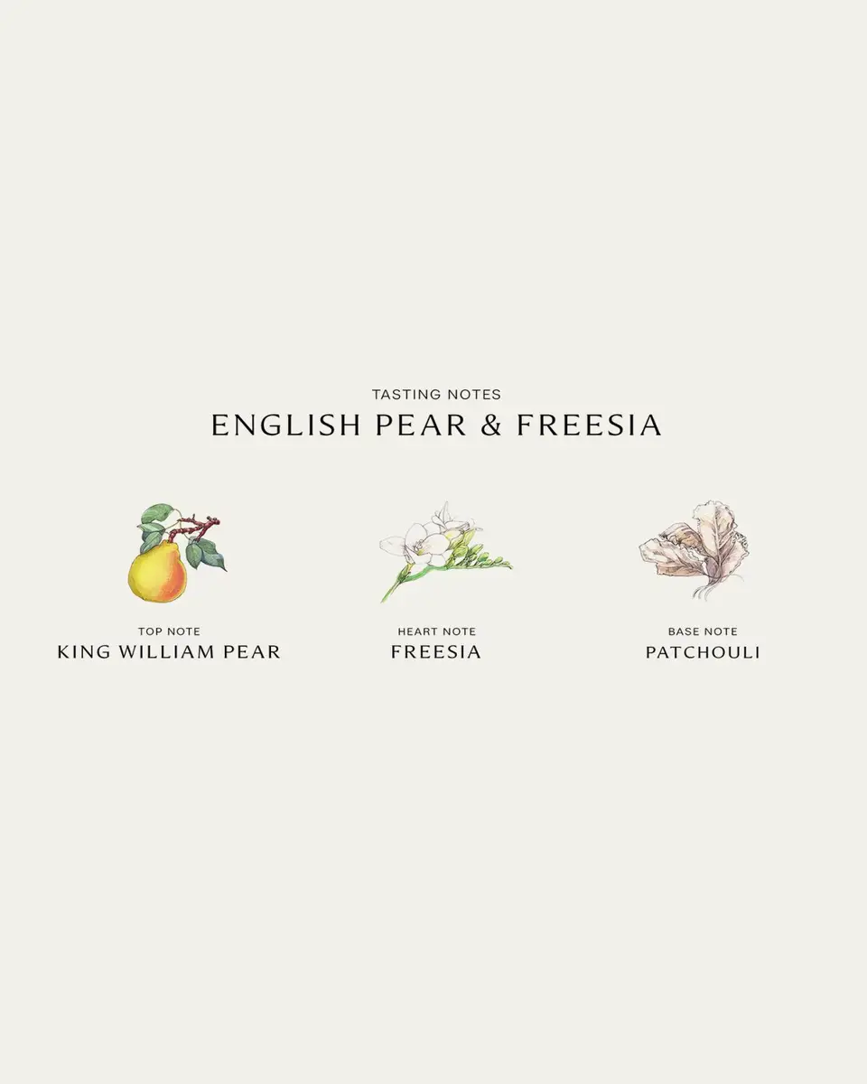 Jo Malone London English Pear & Freesia Diffuser, 5.5 oz. | Thumbnail 3 Jo Malone London English Pear & Freesia Diffuser, 5.5 oz. | Thumbnail 3