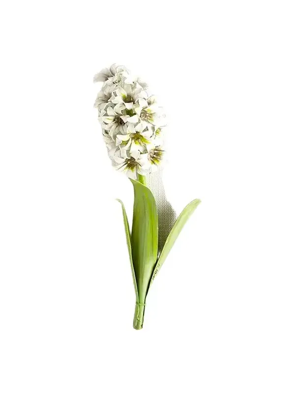Tommy Mitchell Original Painted Hyacinth Study