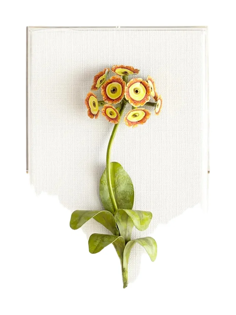 Tommy Mitchell Original Painted Auricula Study