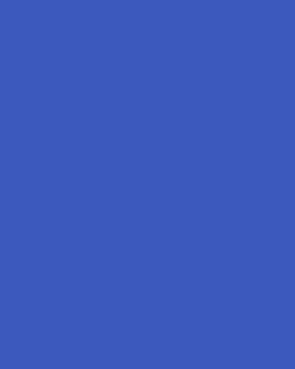 Jan Leslie Blue Turtle Cuff Links | Thumbnail 3