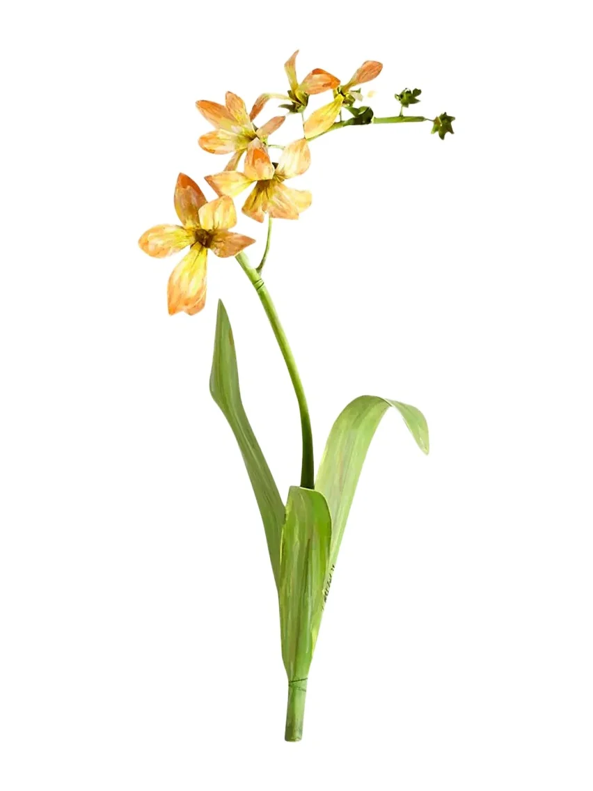 Tommy Mitchell Original Painted Freesia Study