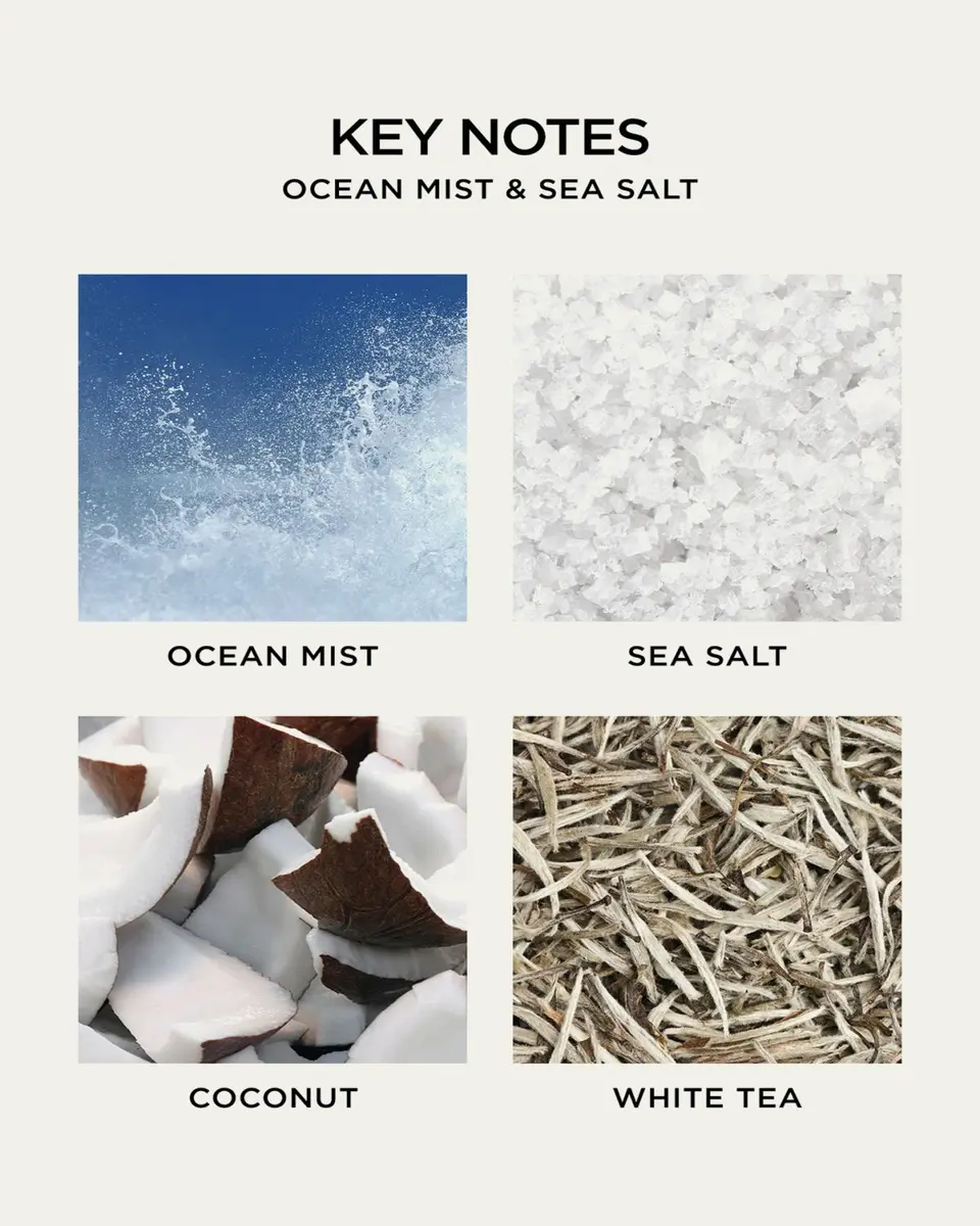 NEST New York Ocean Mist & Sea Salt Liquid Soap, 10 oz. | Thumbnail 5 NEST New York Ocean Mist & Sea Salt Liquid Soap, 10 oz. | Thumbnail 5
