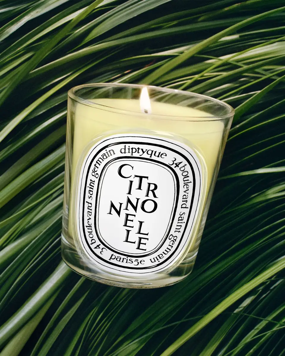 Diptyque Citronnelle Classic Candle, 6.5 oz. | Thumbnail 2 Diptyque Citronnelle Classic Candle, 6.5 oz. | Thumbnail 2