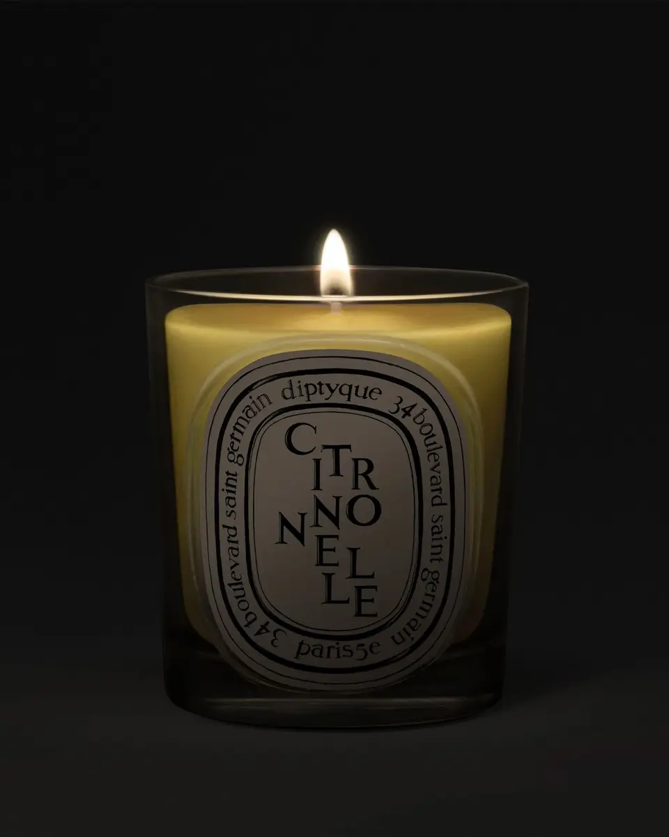 Diptyque Citronnelle Classic Candle, 6.5 oz. | Thumbnail 3 Diptyque Citronnelle Classic Candle, 6.5 oz. | Thumbnail 3