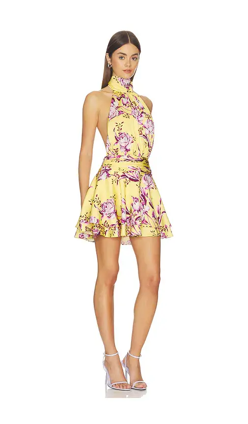 Sonya Moda Isabeli Mini Dress | Thumbnail 3