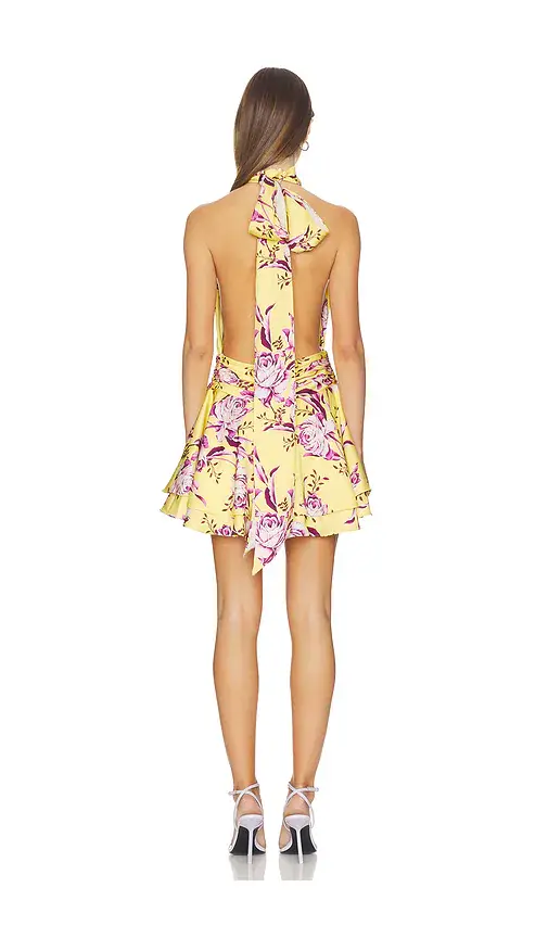 Sonya Moda Isabeli Mini Dress | Thumbnail 4