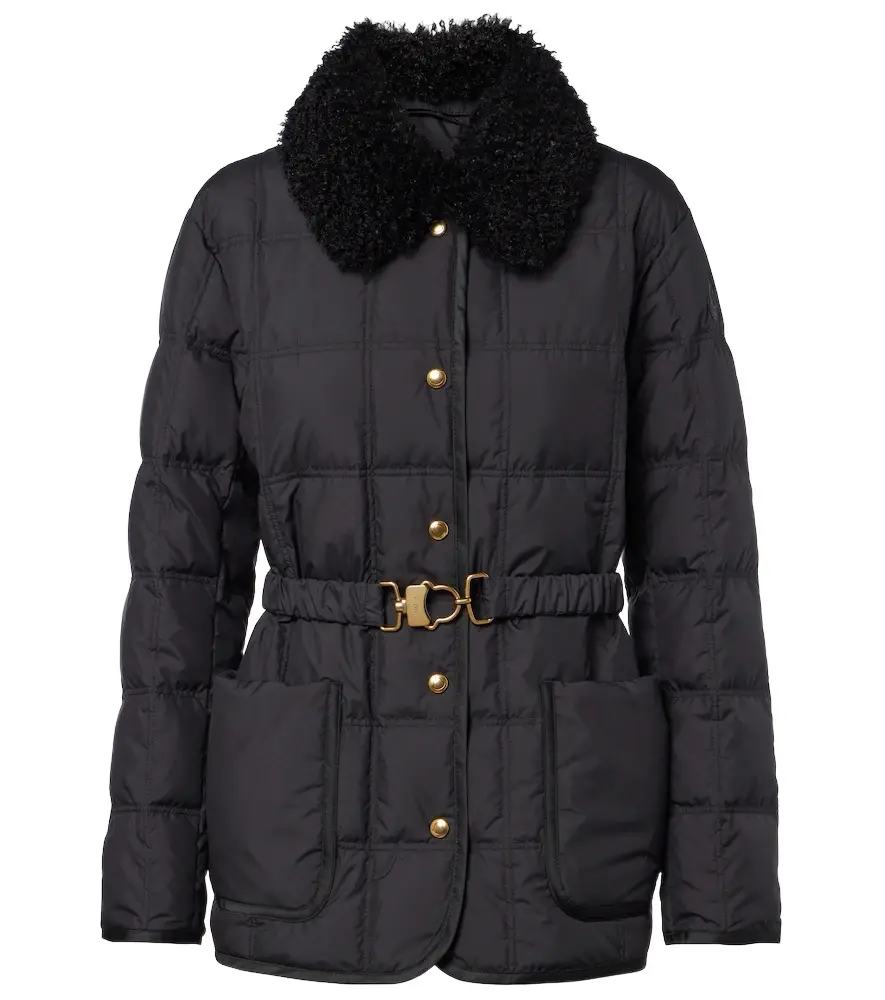 Moncler Cygnes down jacket | Image 1 Moncler Cygnes down jacket | Image 1