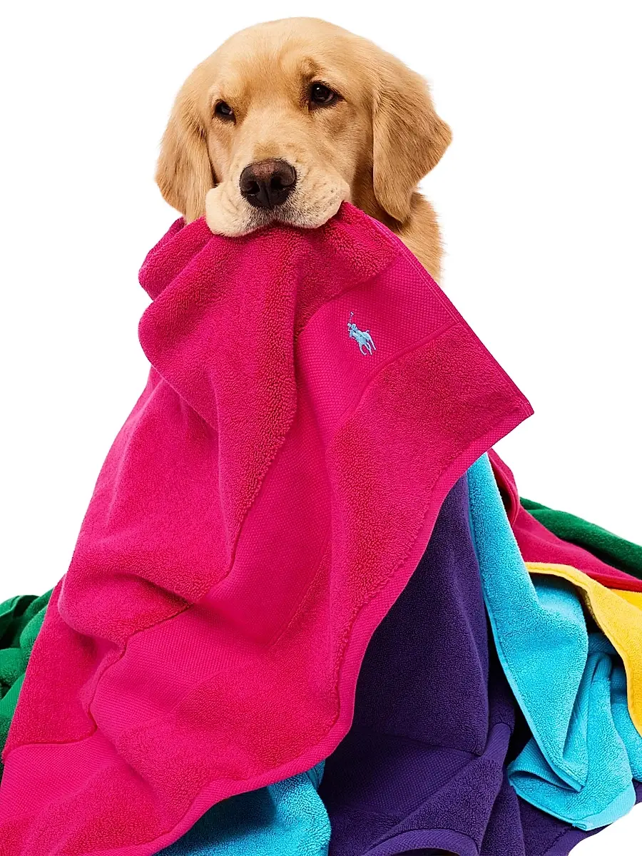 Ralph Lauren Polo Player Cotton | Thumbnail 6