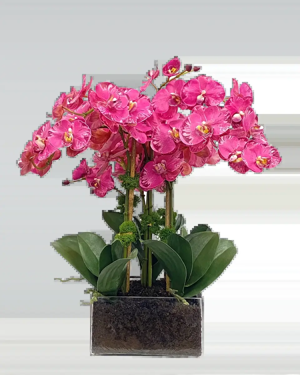Winward Home Phalaenopsis Orchid Arrangement in Square Vase | Thumbnail 2