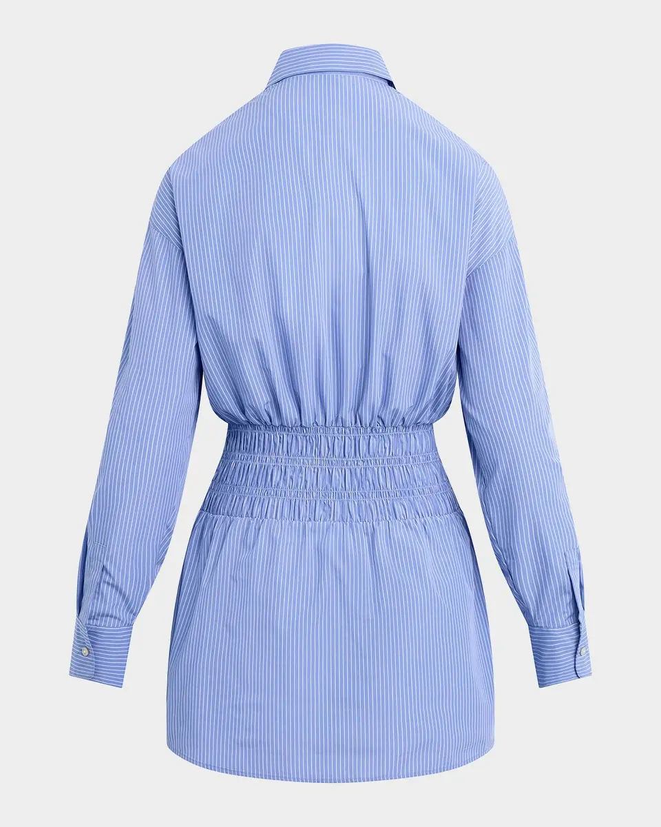 Favorite Daughter The Waist Not Striped Mini Dress | Thumbnail 5 Favorite Daughter The Waist Not Striped Mini Dress | Thumbnail 5