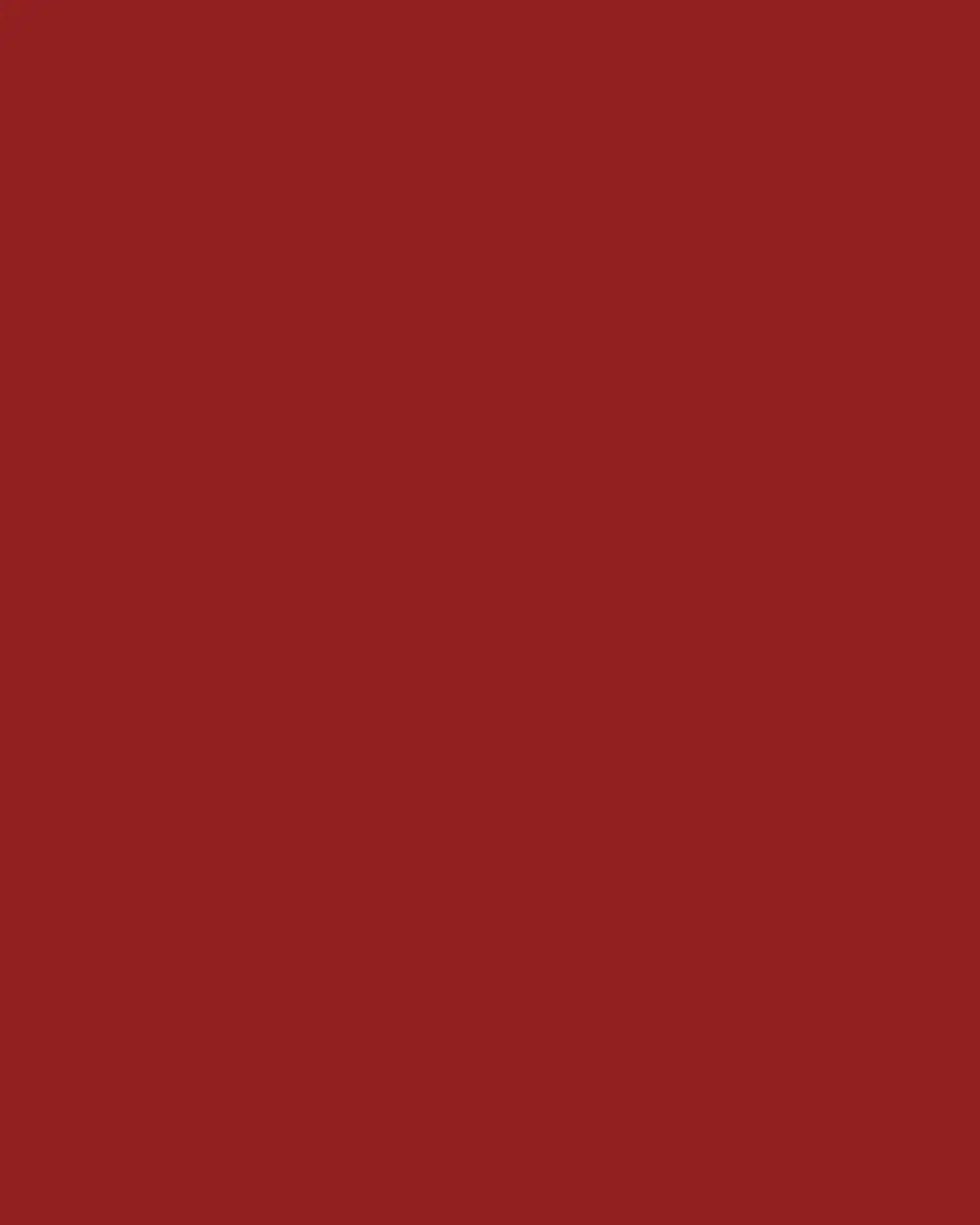 Christopher Radko Color Me Christmas Ornament | Thumbnail 4 Christopher Radko Color Me Christmas Ornament | Thumbnail 4