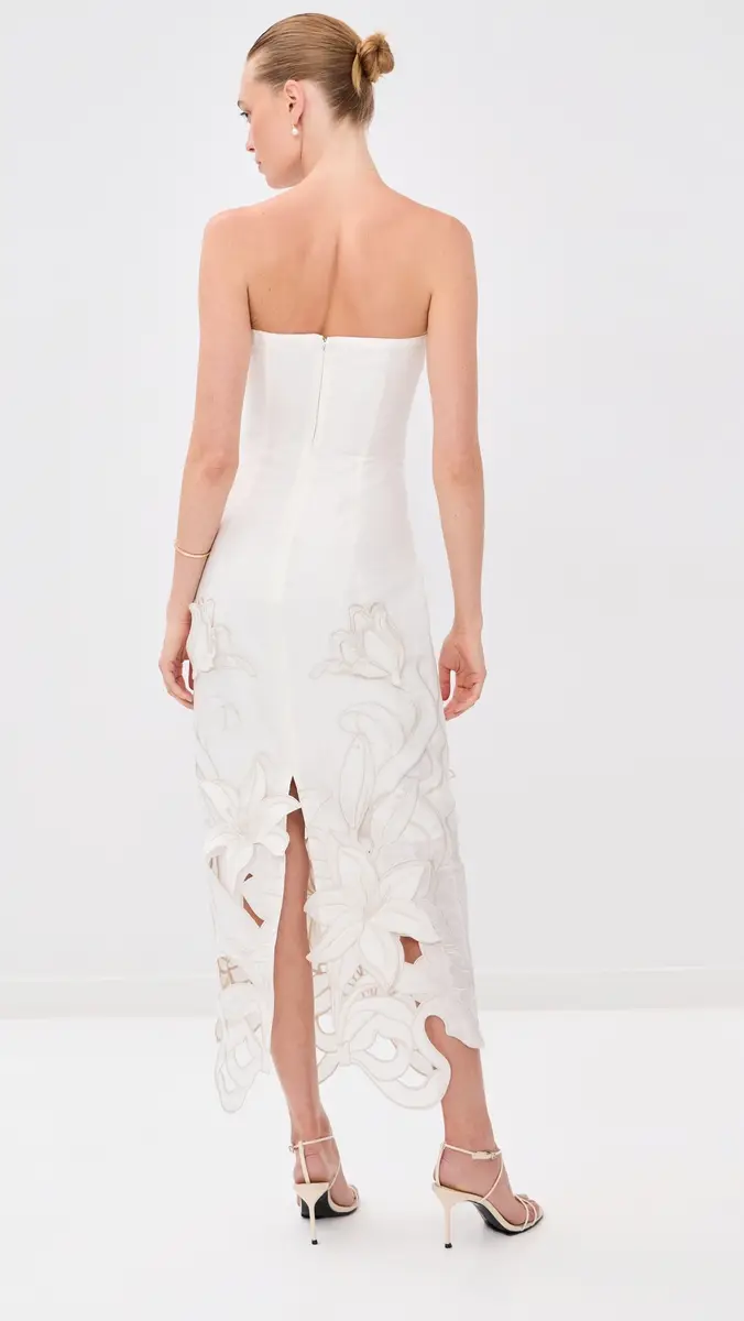 LEO LIN Rayna Applique Bustier Maxi Dress | Thumbnail 3 LEO LIN Rayna Applique Bustier Maxi Dress | Thumbnail 3