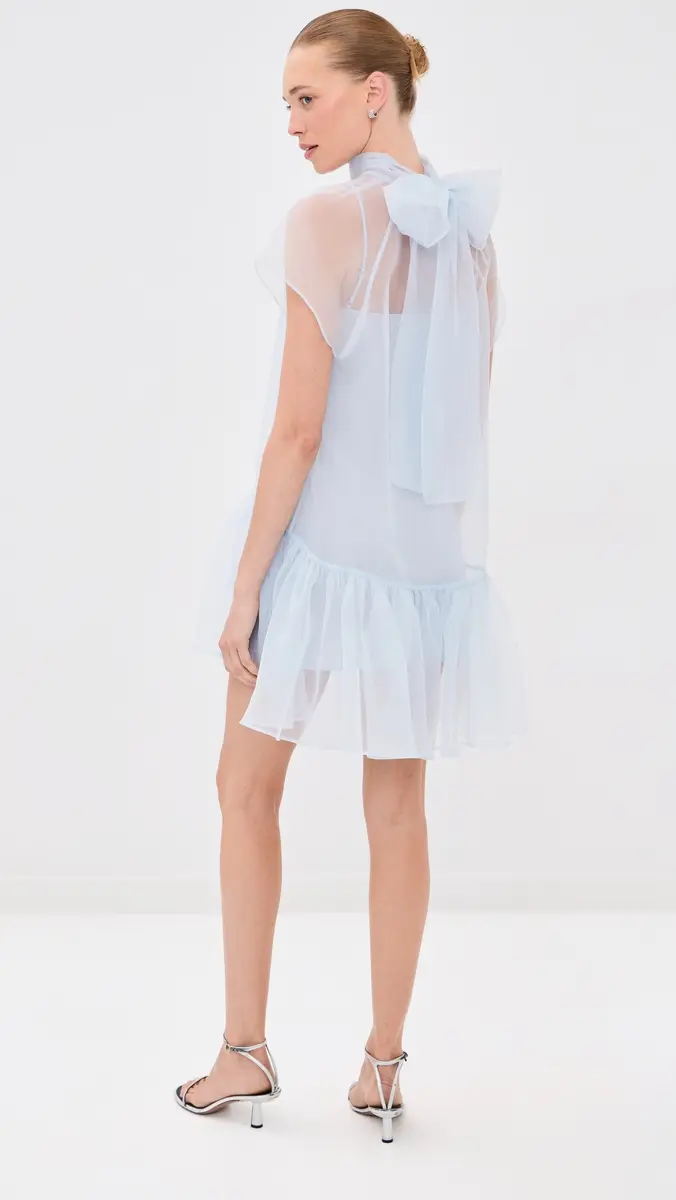 Simkhai Beaux Mini Dress | Thumbnail 3