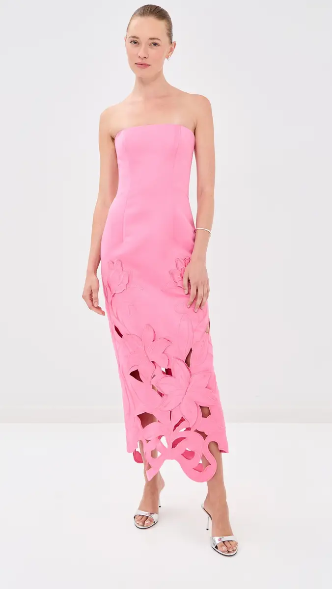 LEO LIN Rayna Applique Bustier Maxi Dress | Thumbnail 2