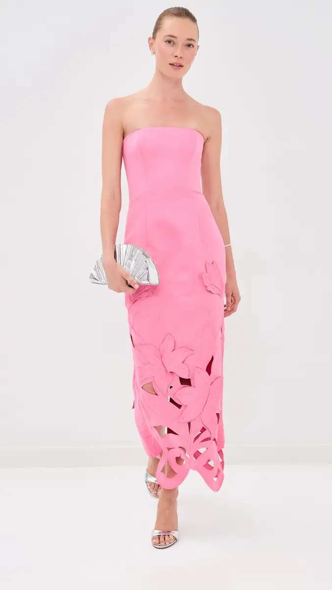 LEO LIN Rayna Applique Bustier Maxi Dress | Thumbnail 5