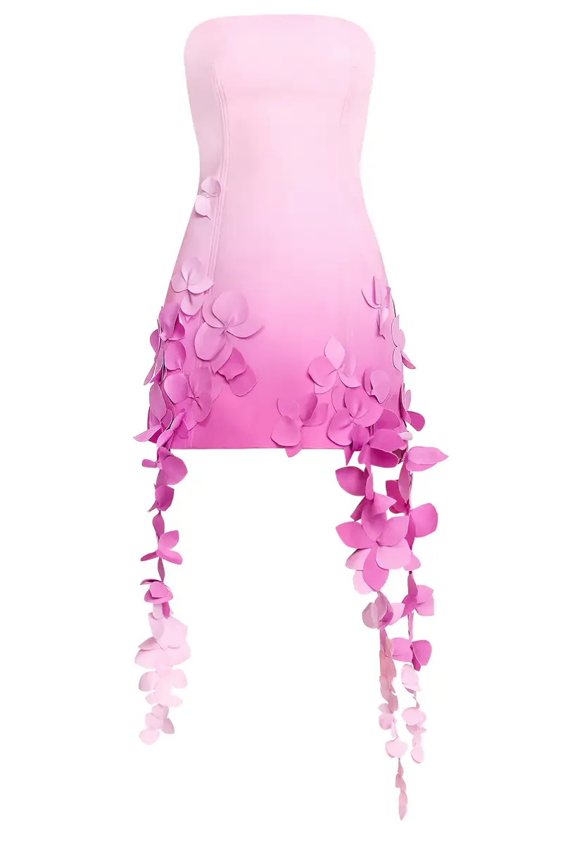ACLER Sandia Mini Dress | Image 1 ACLER Sandia Mini Dress | Image 1