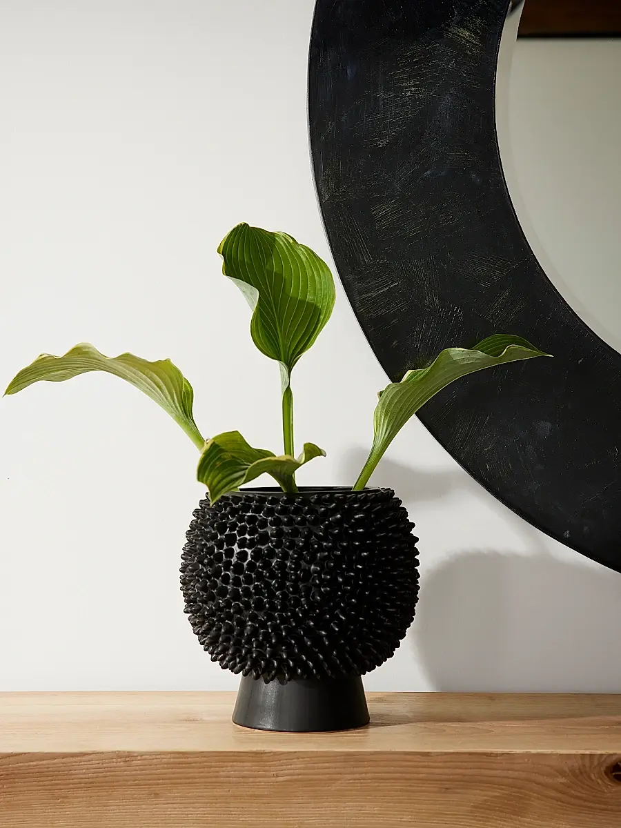 Arteriors Daria Tall Vase | Thumbnail 5 Arteriors Daria Tall Vase | Thumbnail 5