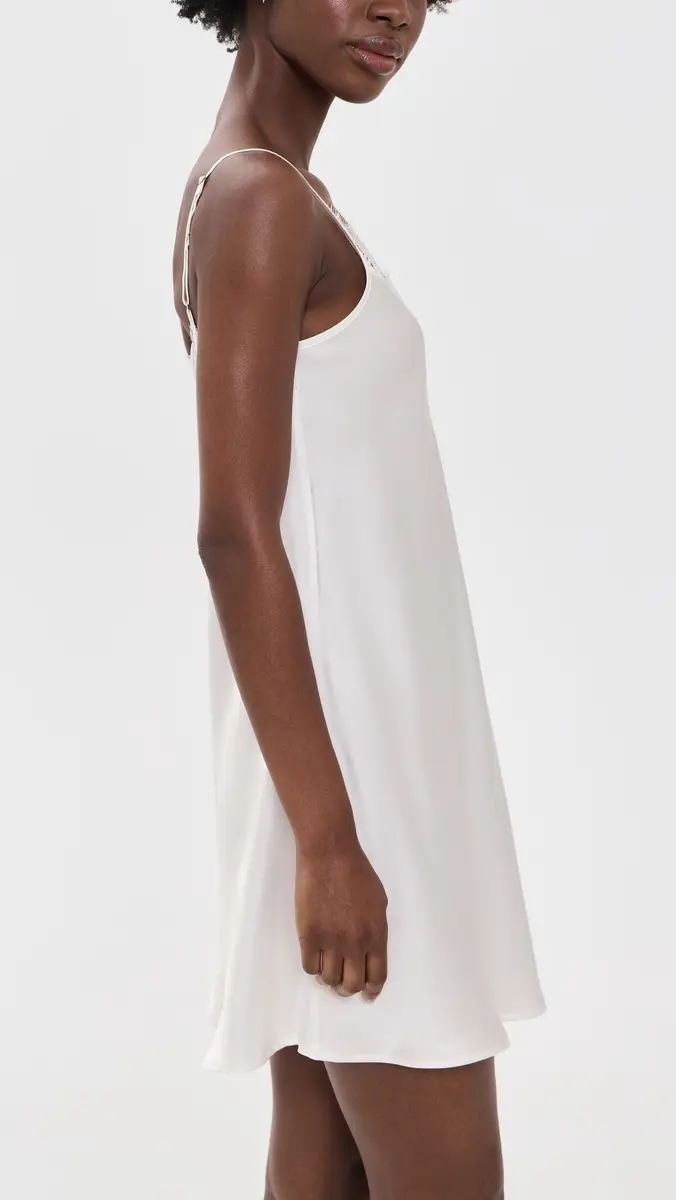 Petite Plume Silk Lace Slip Dress | Thumbnail 4 Petite Plume Silk Lace Slip Dress | Thumbnail 4