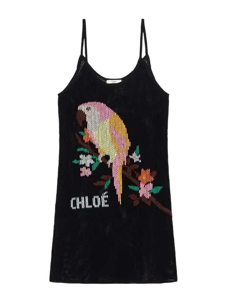 Chloé Embroidered Crocheted Cotton Mini Dress | Thumbnail 1 Chloé Embroidered Crocheted Cotton Mini Dress | Thumbnail 1
