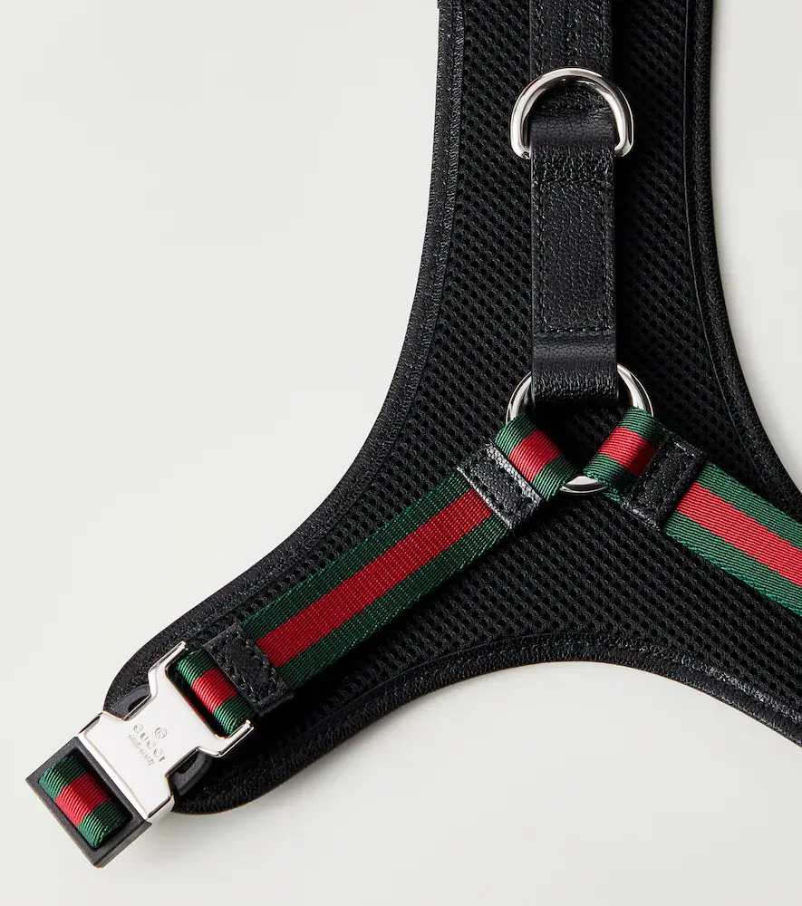 Gucci S/M GG canvas dog harness | Thumbnail 2