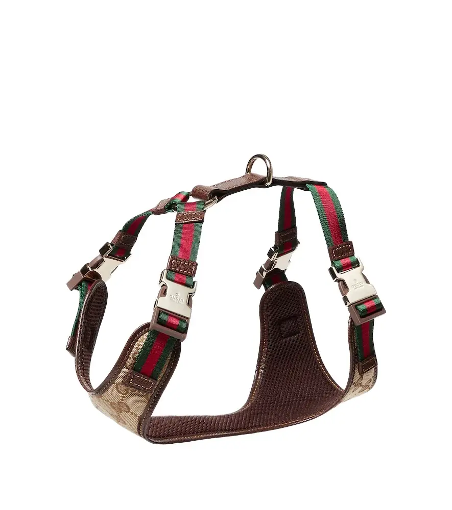 Gucci S/M GG canvas dog harness | Image 1 Gucci S/M GG canvas dog harness | Image 1