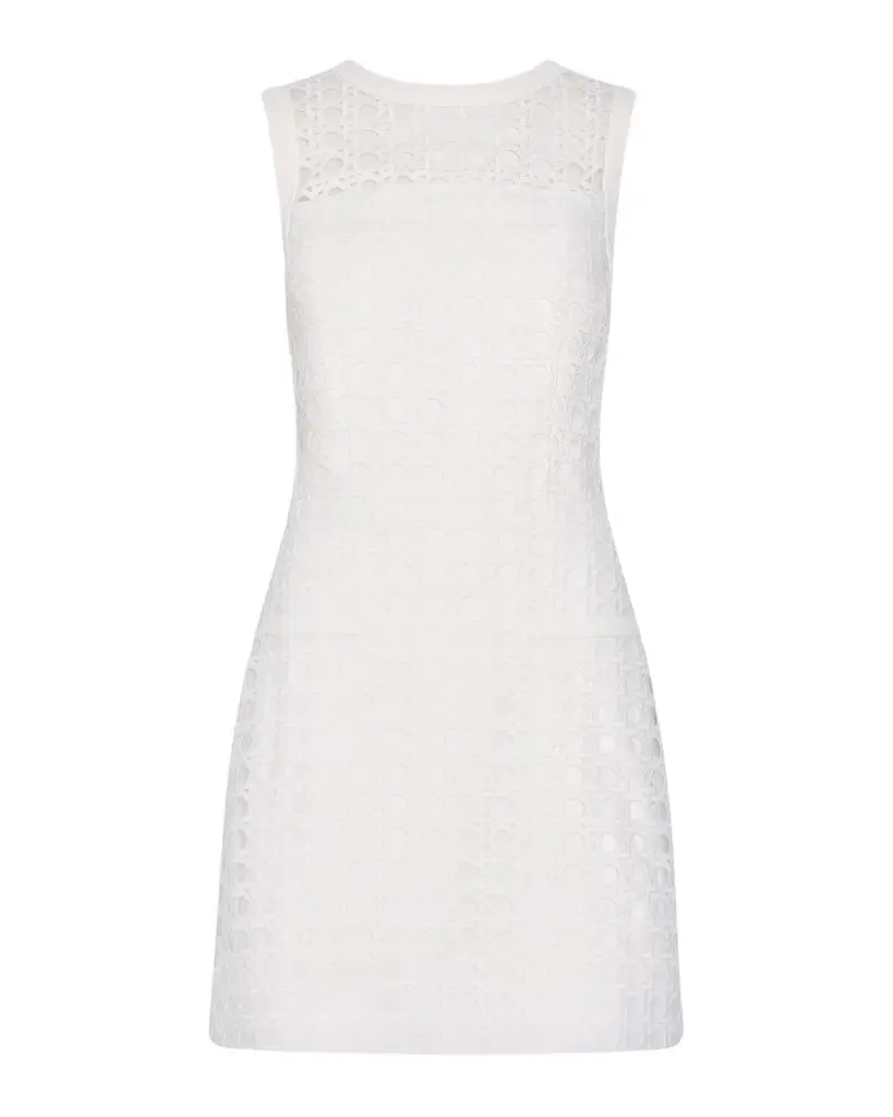 Milly Moira Sleeveless Lace Mini Dress | Image 1 Milly Moira Sleeveless Lace Mini Dress | Image 1