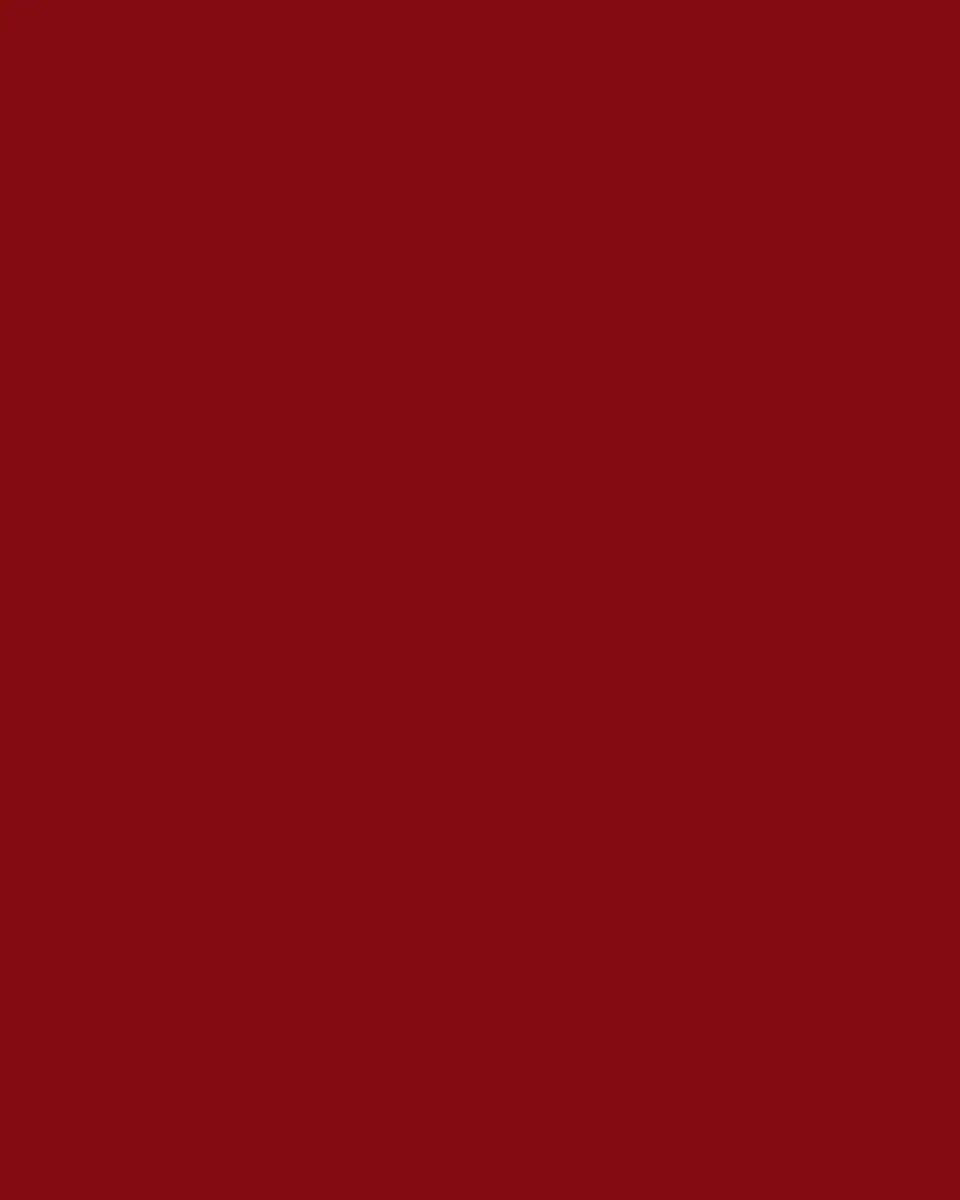 Christopher Radko Holly Jolly Hideaway Christmas Ornament | Thumbnail 4 Christopher Radko Holly Jolly Hideaway Christmas Ornament | Thumbnail 4