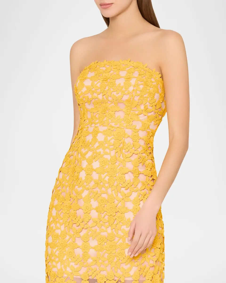 Milly Kait Strapless Crochet Lace Midi Dress | Thumbnail 4 Milly Kait Strapless Crochet Lace Midi Dress | Thumbnail 4