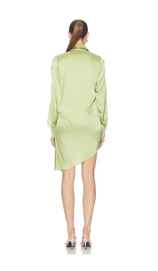 Vaillant Isadora Dress | Thumbnail 3