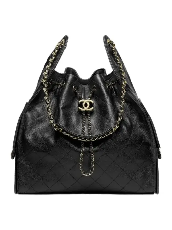 CHANEL 25 Medium Handbag CHANEL 25 Medium Handbag