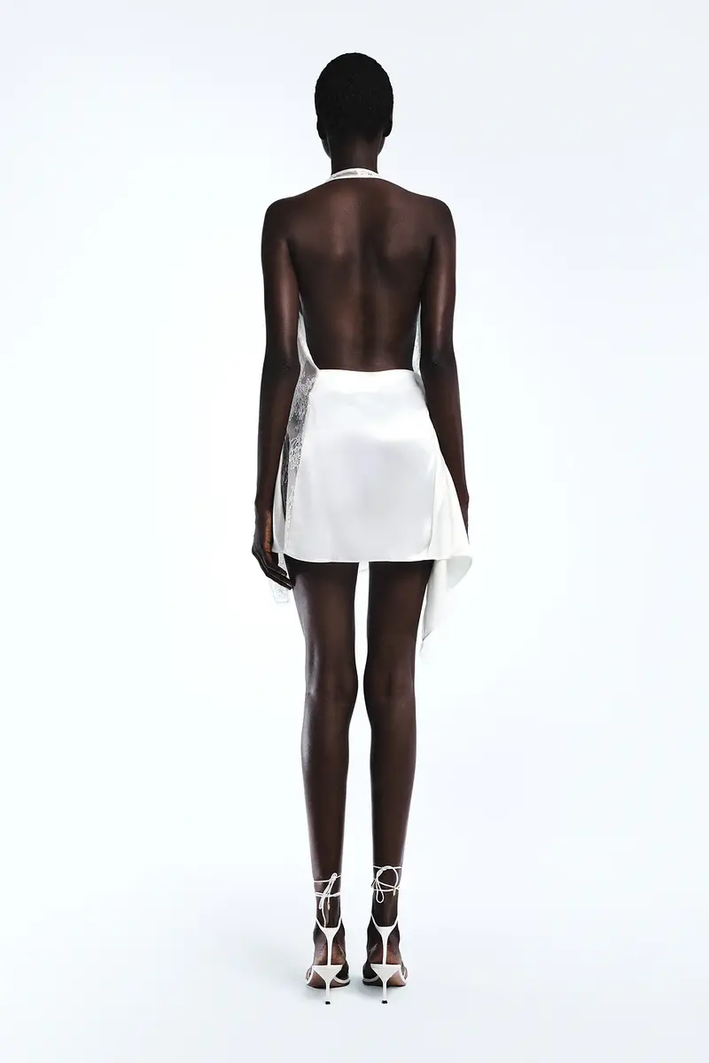 REVOLVE LOS ANGELES Gaspard Mini Dress | Thumbnail 4