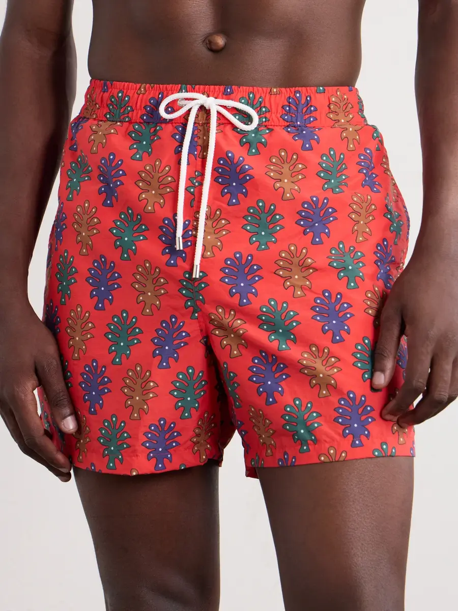Drake's Straight-Leg Mid-Length Printed Swim Shorts - Men | Thumbnail 2