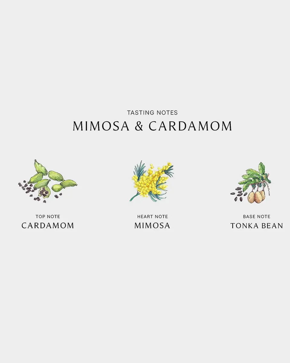 Jo Malone London Mimosa & Cardamom Cologne | Thumbnail 4