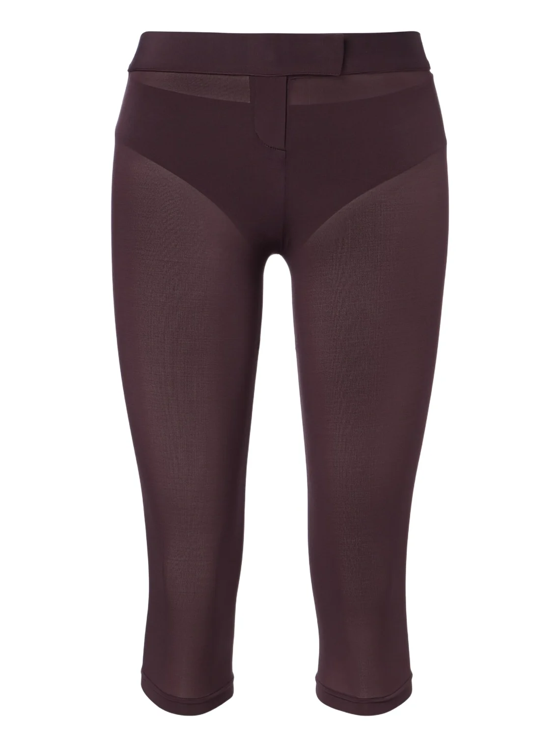 Sheer capri pants