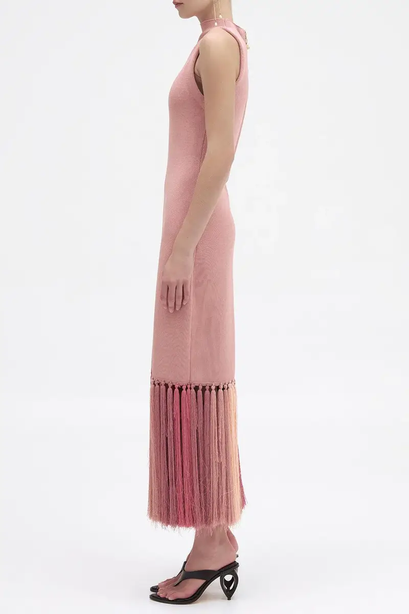 Aje Sofina Tassel Midi Dress | Thumbnail 3