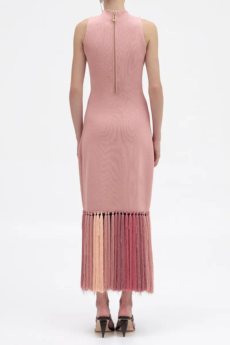 Aje Sofina Tassel Midi Dress | Thumbnail 4