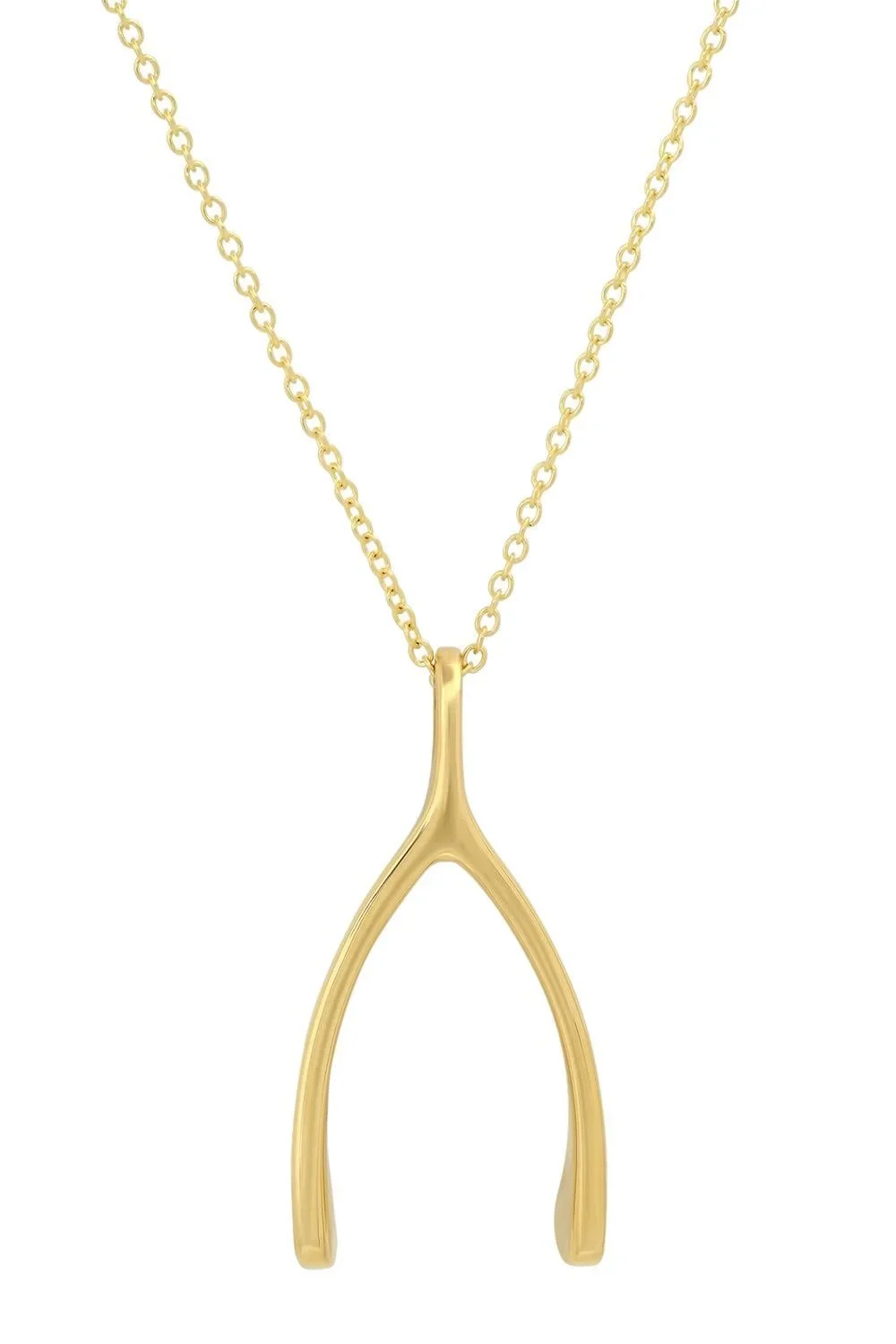Large Wishbone Necklace