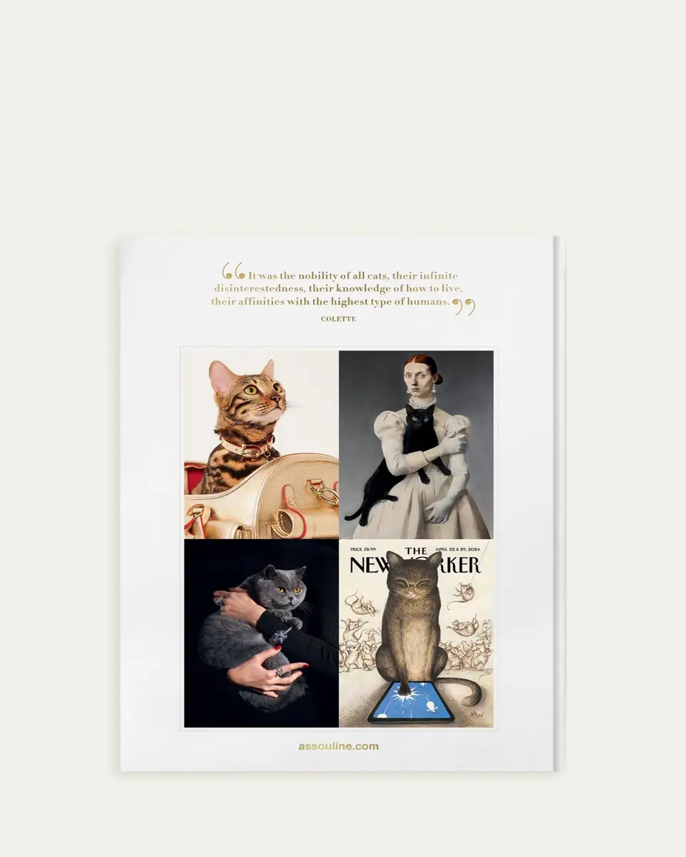 ASSOULINE "Chic Cats" Book by Brett Martin | Thumbnail 3