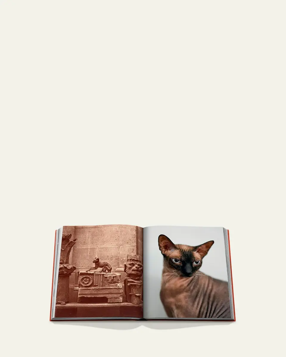 ASSOULINE "Chic Cats" Book by Brett Martin | Thumbnail 4