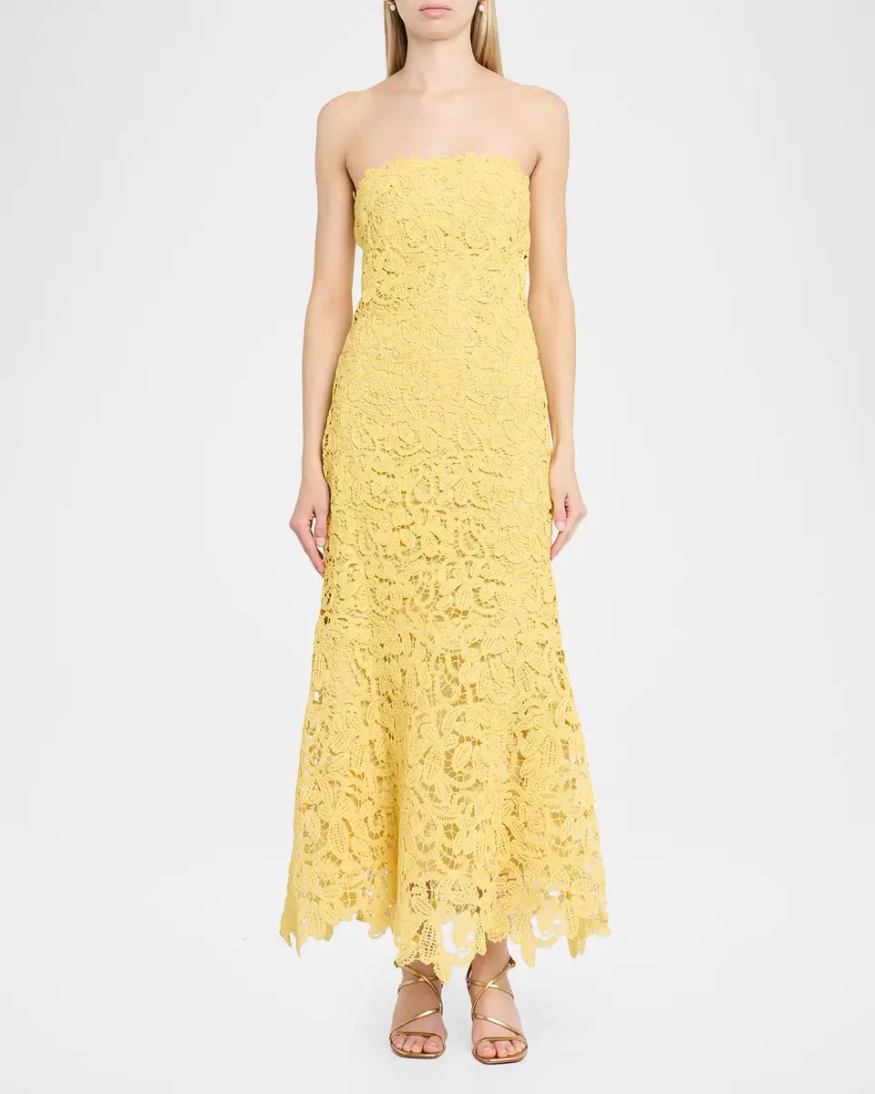 Simkhai Sera Floral Lace Bustier Maxi Dress | Thumbnail 2 Simkhai Sera Floral Lace Bustier Maxi Dress | Thumbnail 2
