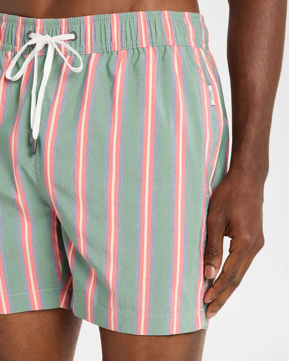 Onia Charles Striped 5 '' Swim Trunks | Thumbnail 4