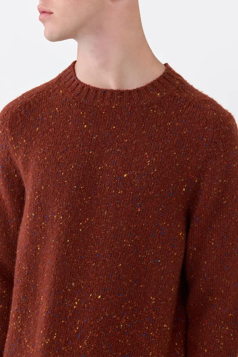 Gabriela Hearst Daniel Knit Sweater in Burnt Sienna Multi Speckled Aran Cashmere | Thumbnail 6