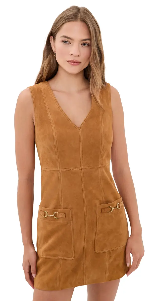 Sloane Suede Mini Dress