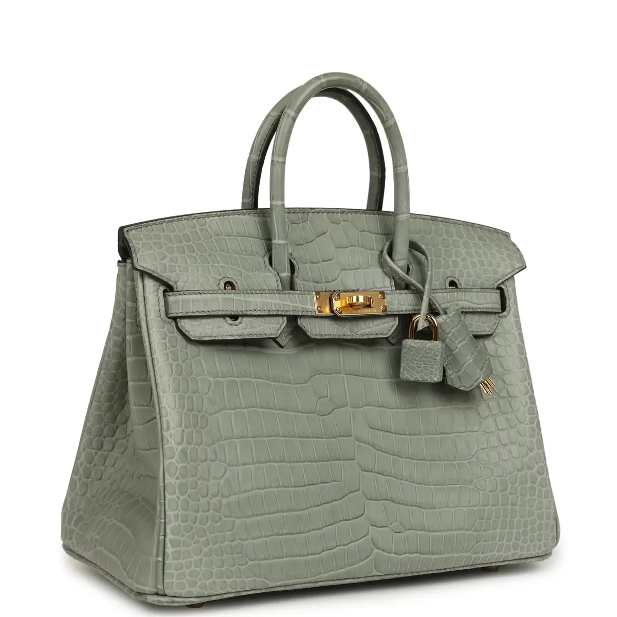 HERMÈS Hermes Birkin 25 Gris Ciment Matte Porosus Crocodile Gold Hardware | Thumbnail 2 HERMÈS Hermes Birkin 25 Gris Ciment Matte Porosus Crocodile Gold Hardware | Thumbnail 2