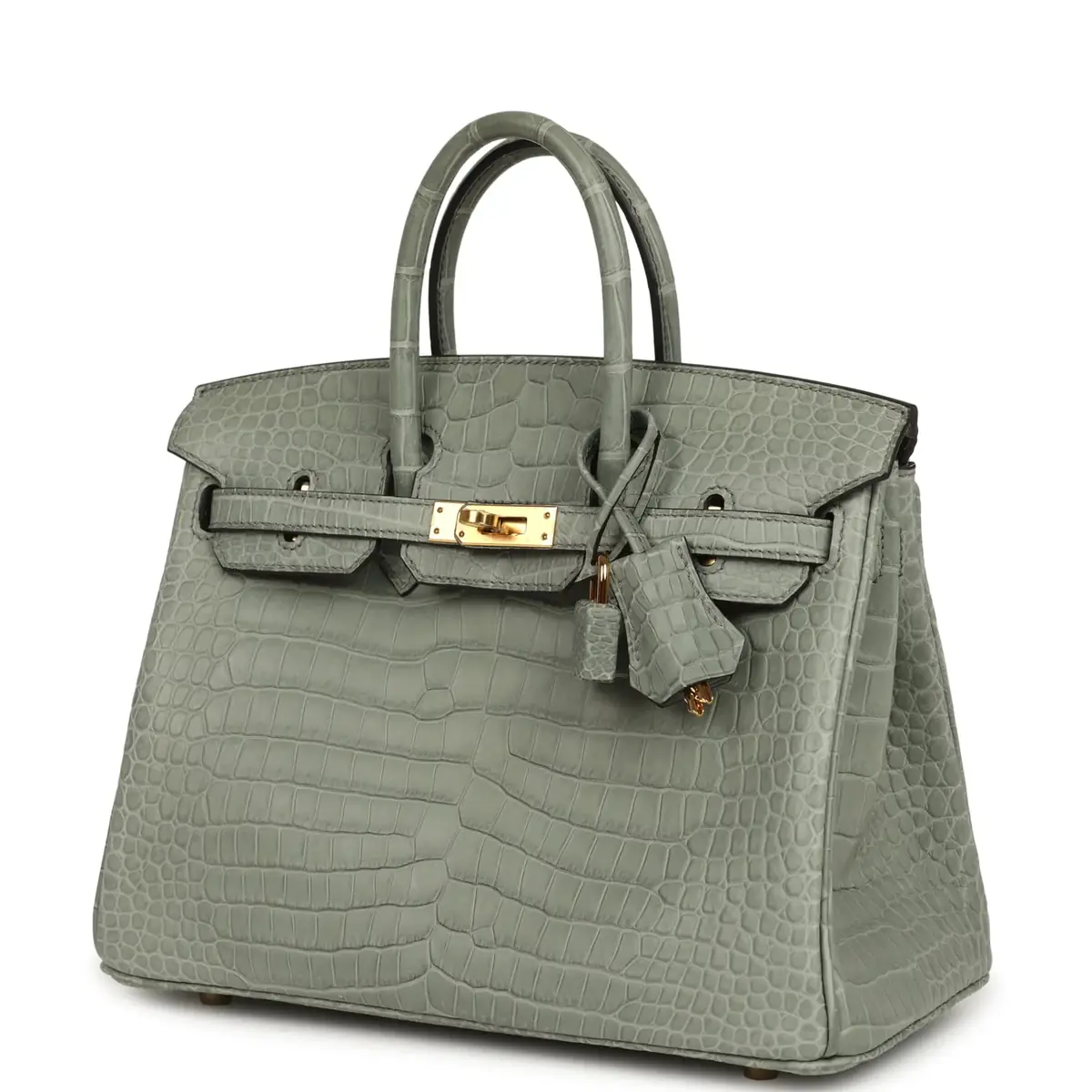 HERMÈS Hermes Birkin 25 Gris Ciment Matte Porosus Crocodile Gold Hardware | Thumbnail 5 HERMÈS Hermes Birkin 25 Gris Ciment Matte Porosus Crocodile Gold Hardware | Thumbnail 5