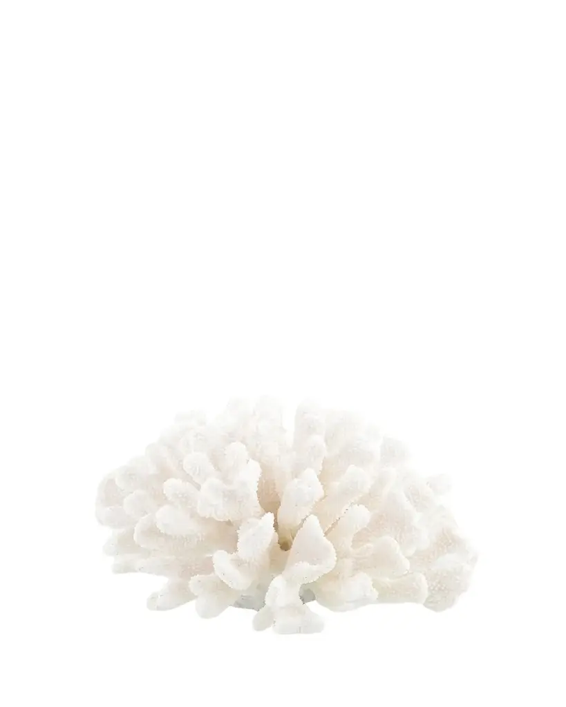John-Richard Collection Maldives Coral | Image 1 John-Richard Collection Maldives Coral | Image 1