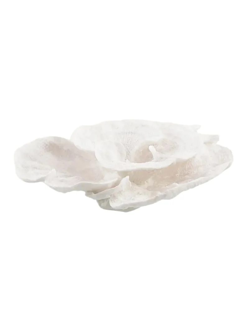 John-Richard Collection Foliose Coral