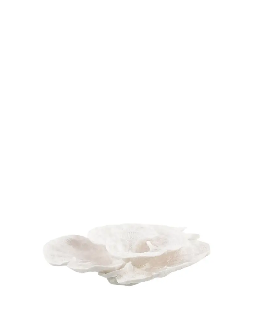 John-Richard Collection Foliose Coral | Image 1 John-Richard Collection Foliose Coral | Image 1
