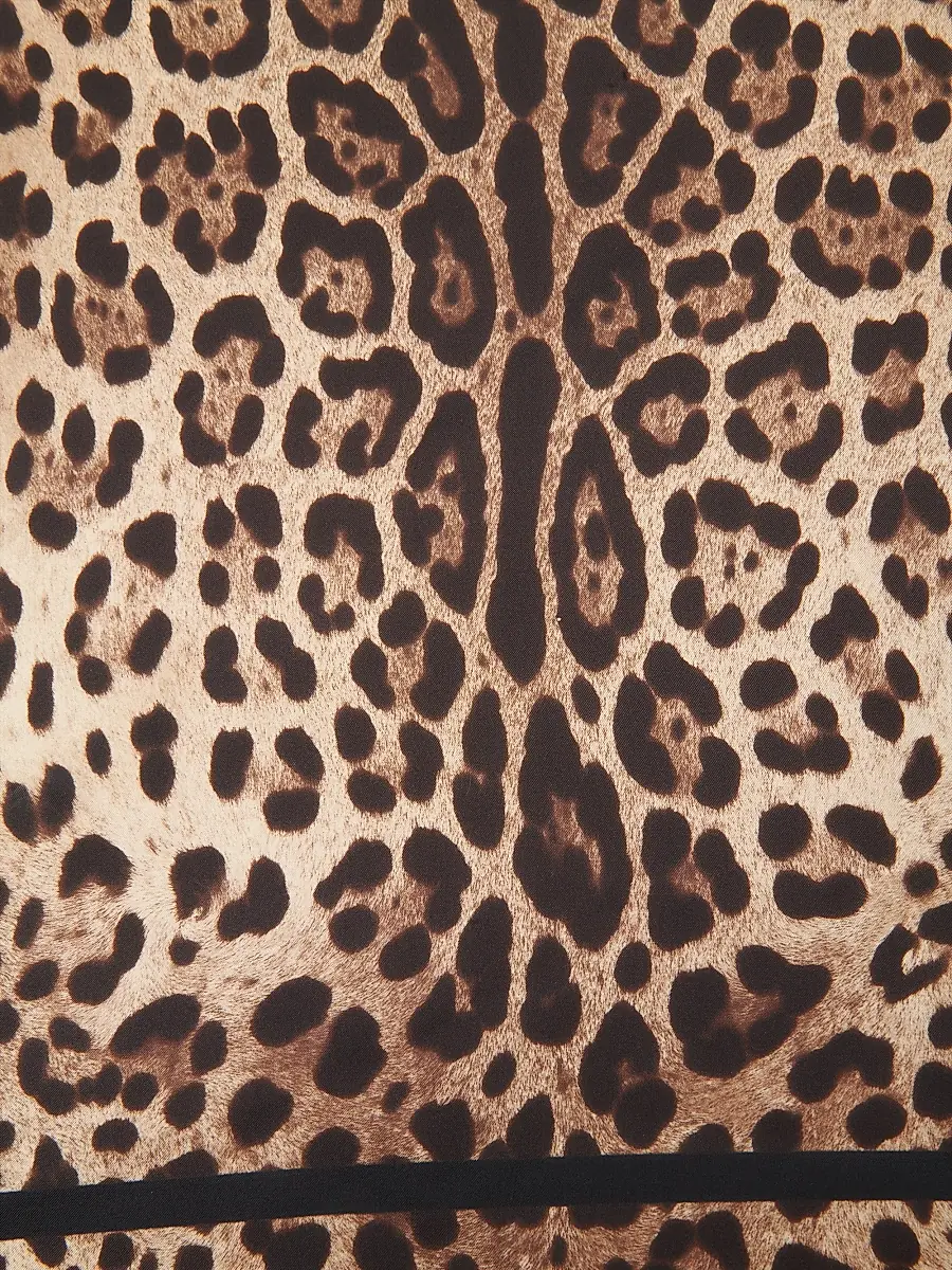 Dolce & Gabbana Women's Leopard-Print Silk Foulard | Thumbnail 2 Dolce & Gabbana Women's Leopard-Print Silk Foulard | Thumbnail 2